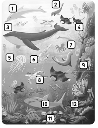 Animals in danger